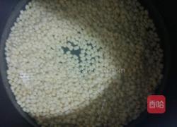 自制绿豆蓉的做法图解2