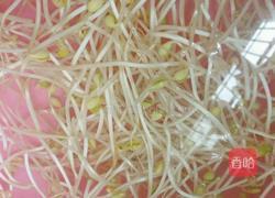 酸萝卜炒豆芽的做法图解4