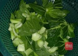 蚝油炒青菜的做法图解1