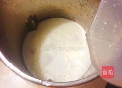 花生露的做法图解4