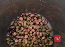 香浓花生红豆豆浆的做法图解4