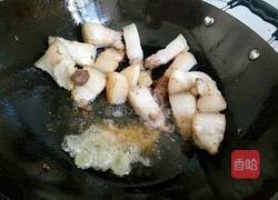 菠萝红烧肉的做法图解4