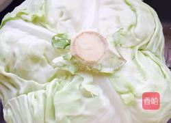 香辣手撕包菜的做法图解1
