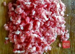 香煎胡萝卜豆腐肉饼的做法图解1