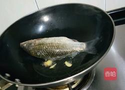 清汤鲫鱼的做法图解4