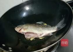 清汤鲫鱼的做法图解5