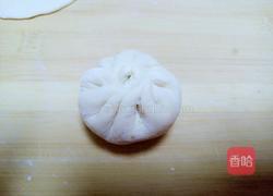 胡萝卜木耳包子的做法图解23