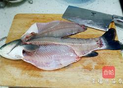 酸菜鱼的做法图解2