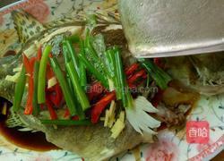 清蒸桂鱼的做法图解4