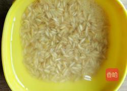 小米燕麦红豆粥的做法图解3