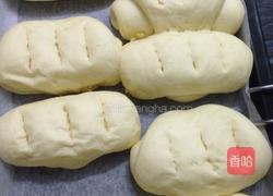 葱花肠子包的做法图解9