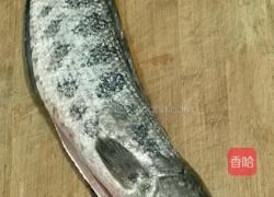 特色乌鱼汤的做法图解1