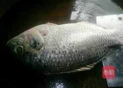 烩炸罗非鱼的做法图解1