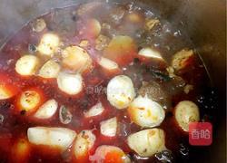 土豆烧牛腩的做法图解10