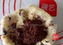 拼色蔓越莓饼干的做法图解8