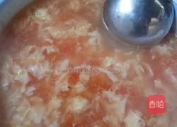 番茄蛋汤的做法图解7