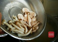 金华火腿菌菇炖鸡汤的做法图解10