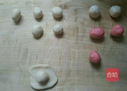荷花酥的做法图解4