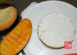 芒果奶油蛋糕的做法图解3