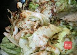 酱烧白菜的做法图解5