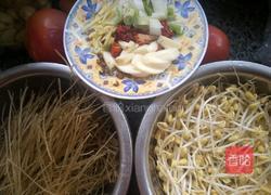 豆芽粉丝的做法图解1