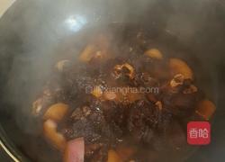 红烧羊肉白萝卜煲的做法图解5