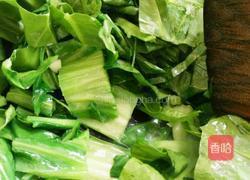 炒厚叶菜的做法图解6