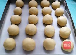 牛奶小餐包的做法图解7