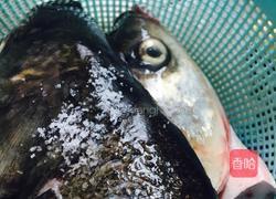 豆瓣红烧胖鱼头的做法图解1