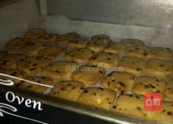 蔓越莓饼干的做法图解7