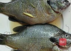 红烧太阳鱼的做法图解1