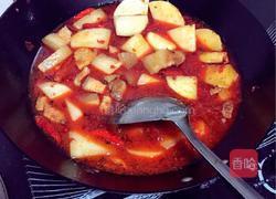 白萝卜红烧肉（川菜）的做法图解5