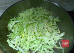 甘蓝炒肉的做法图解4
