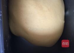 胡萝卜小餐包的做法图解6