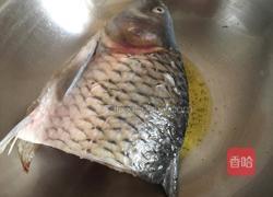 红烧鲤鱼的做法图解2
