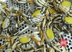 清蒸大闸蟹的做法图解4