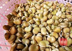 香酥兰花豆蚕豆的做法图解5