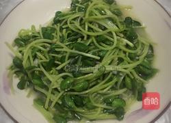 蒜香豆苗的做法图解6