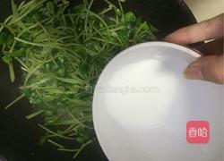 蒜香豆苗的做法图解5