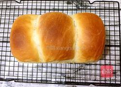 波兰酵种原味土司的做法图解17