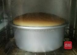 沙棘戚风的做法图解16