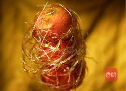 冰糖葫芦的做法图解14