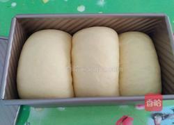牛奶土司的做法图解12