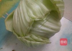 酸甜卷心菜的做法图解1