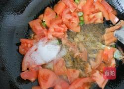 西红柿鸡蛋卤的做法图解5