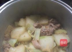 冬瓜白菜炖鸭肉的做法图解7
