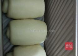 酸奶吐司(一次性发酵)的做法图解9