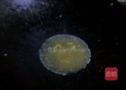 原味酸菜的做法图解2