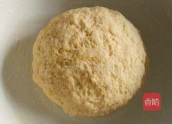 红薯发糕的做法图解4