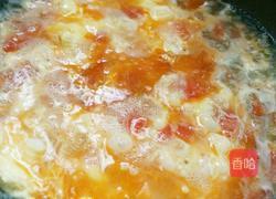 番茄鸡蛋汤的做法图解9